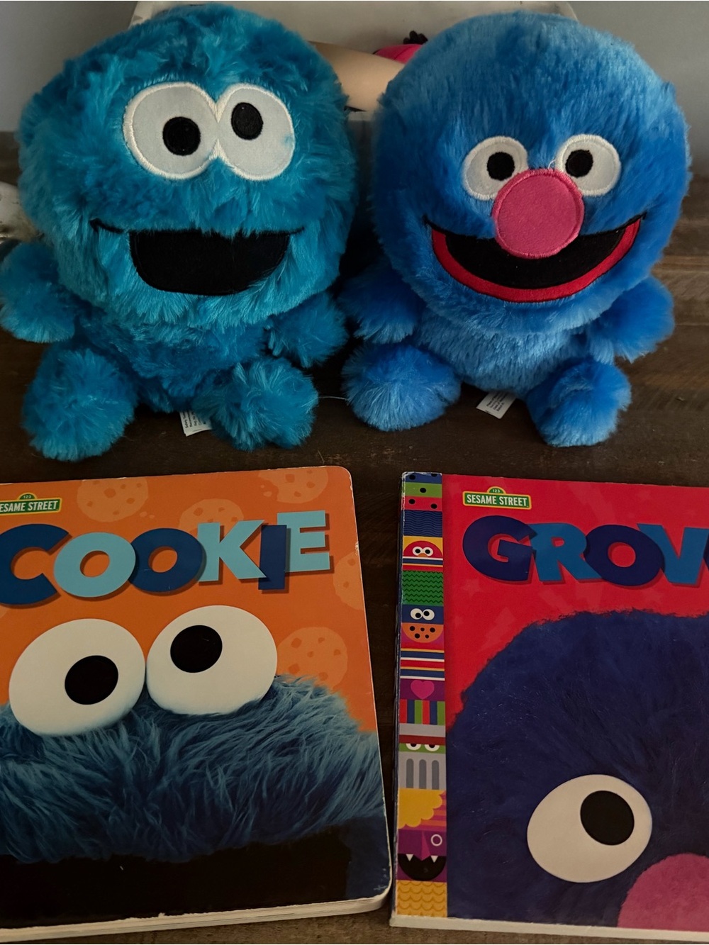 Sesame Street Blue Plush Pair and Board Books  - Cookie Monster & Grover